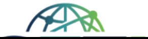 SFTI icon